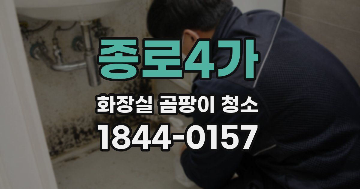 종로4가 화장실 곰팡이 청소