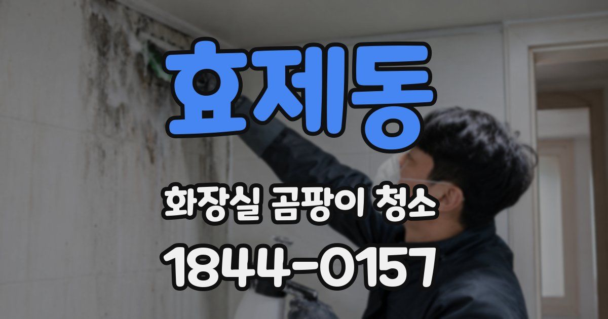 효제동 화장실 곰팡이 청소