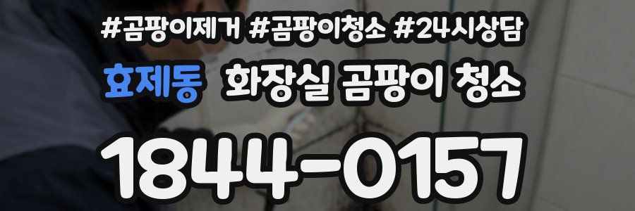 효제동 화장실 곰팡이 청소