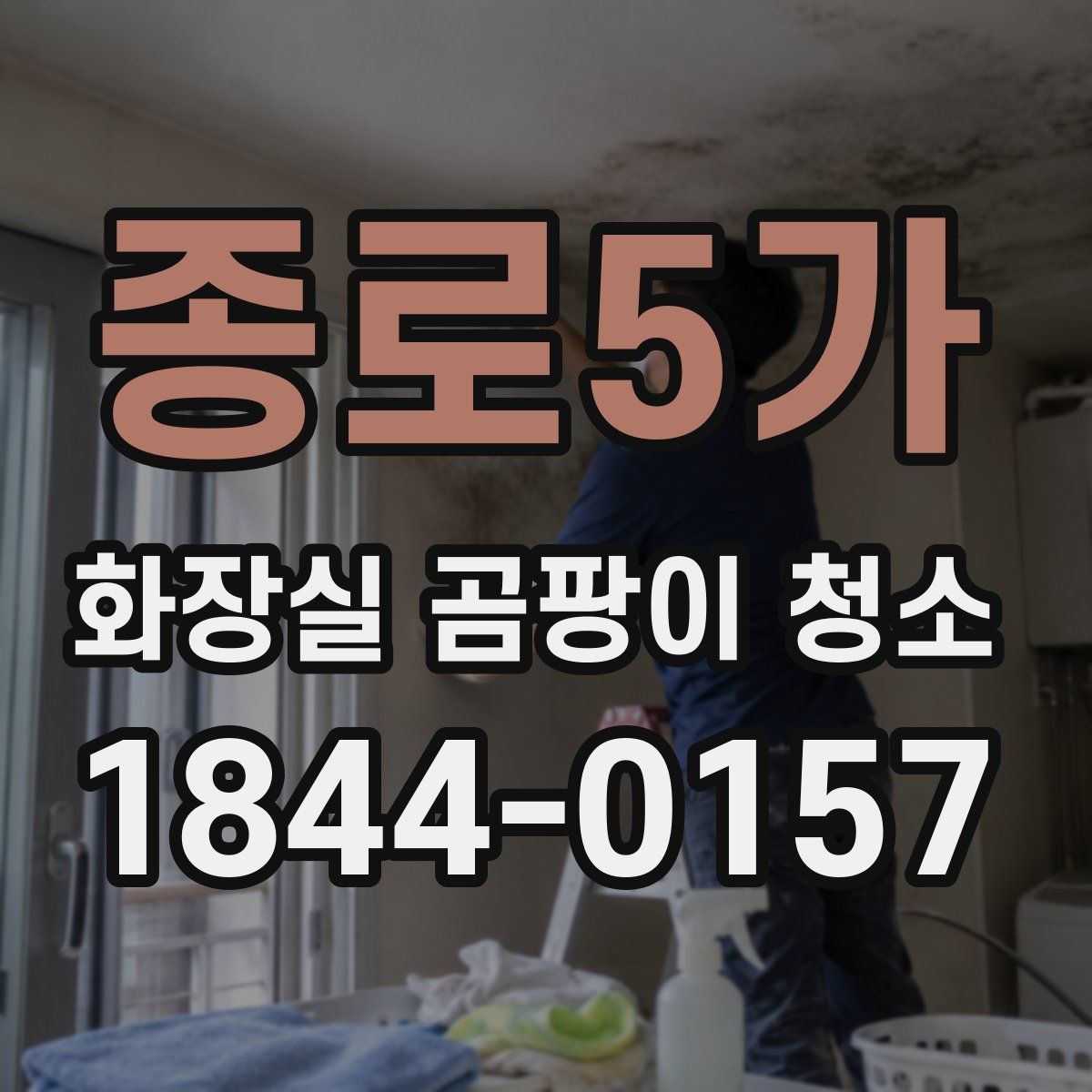 종로5가 화장실 곰팡이 청소