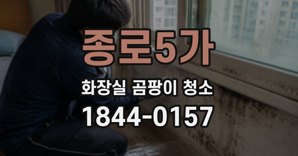 종로5가 화장실 곰팡이 청소