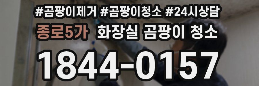 종로5가 화장실 곰팡이 청소