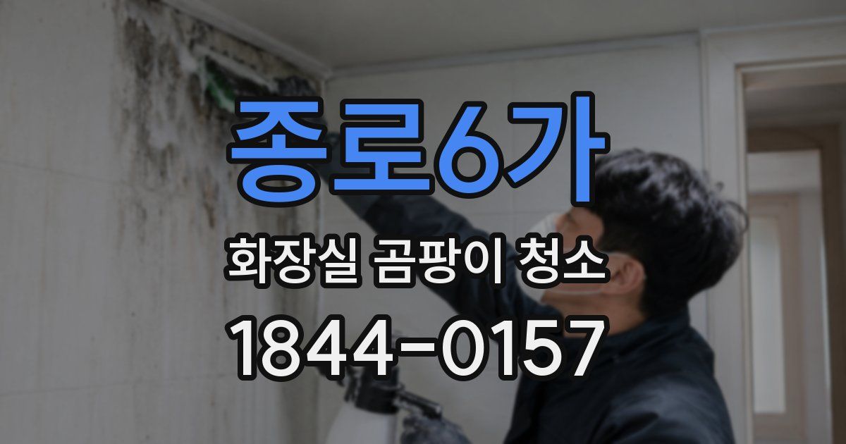 종로6가 화장실 곰팡이 청소