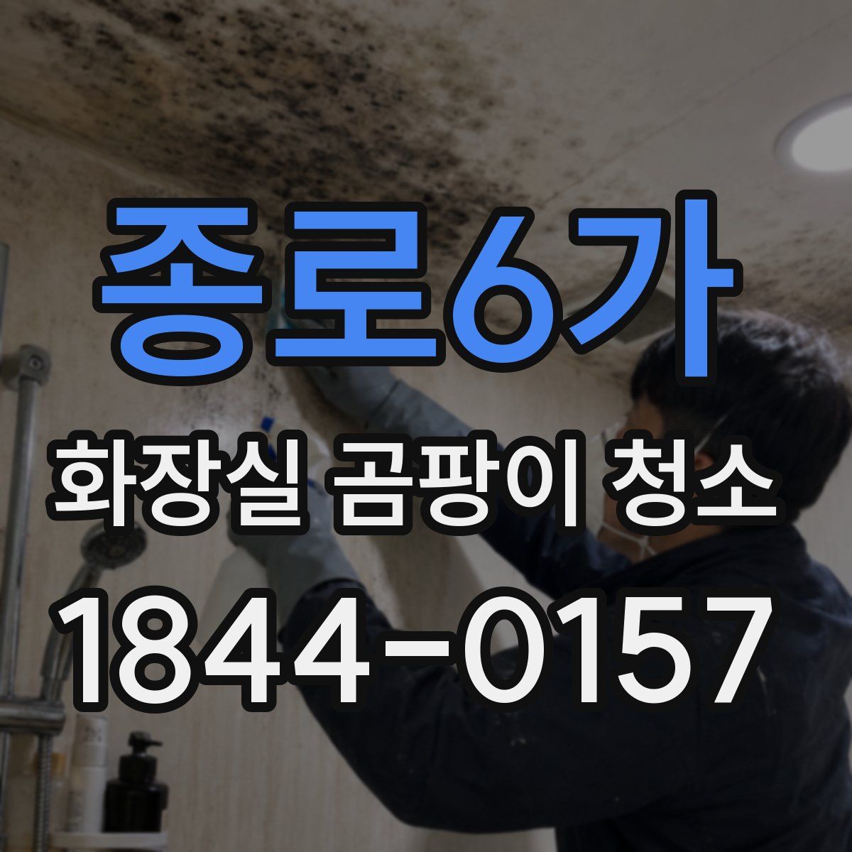 종로6가 화장실 곰팡이 청소