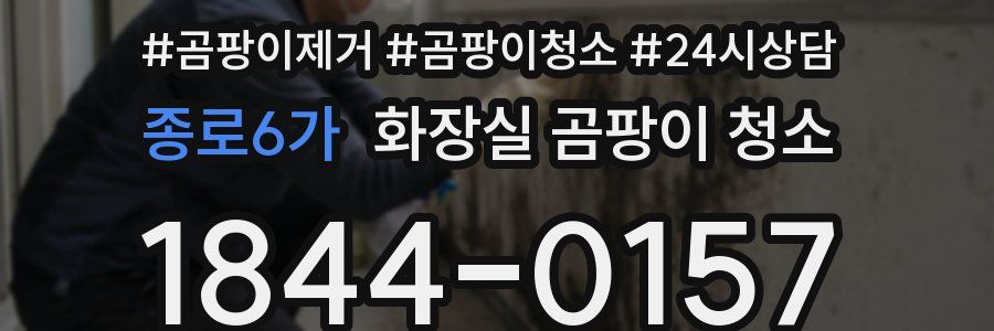 종로6가 화장실 곰팡이 청소