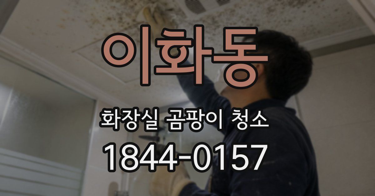 이화동 화장실 곰팡이 청소