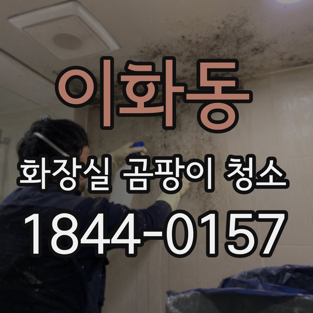 이화동 화장실 곰팡이 청소