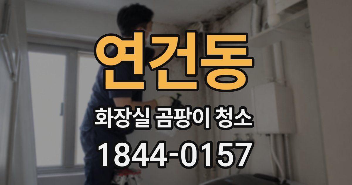 연건동 화장실 곰팡이 청소