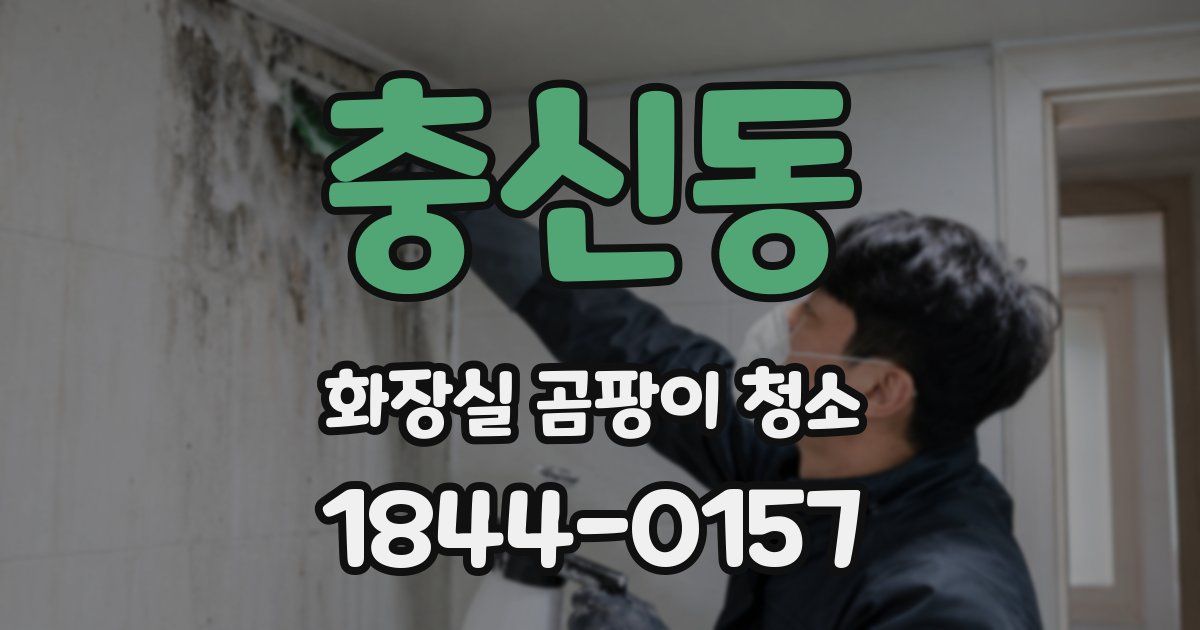 충신동 화장실 곰팡이 청소