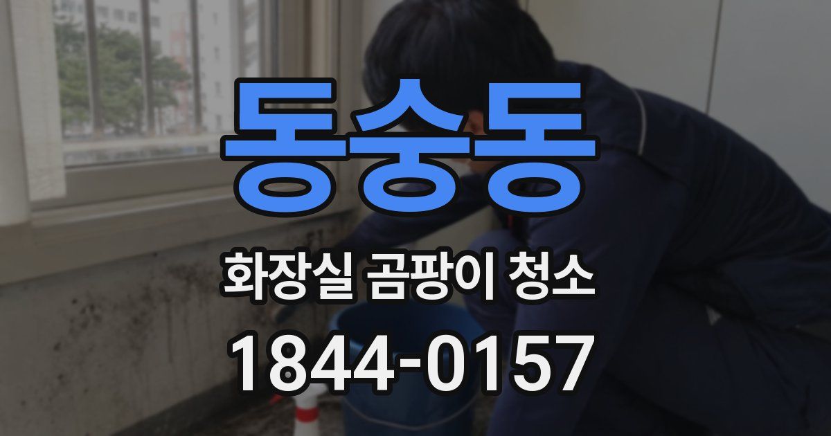 동숭동 화장실 곰팡이 청소