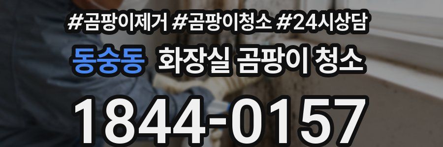동숭동 화장실 곰팡이 청소