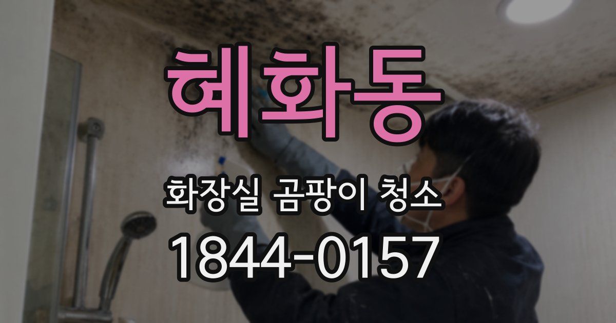 혜화동 화장실 곰팡이 청소