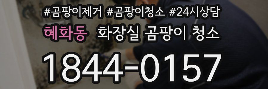 혜화동 화장실 곰팡이 청소