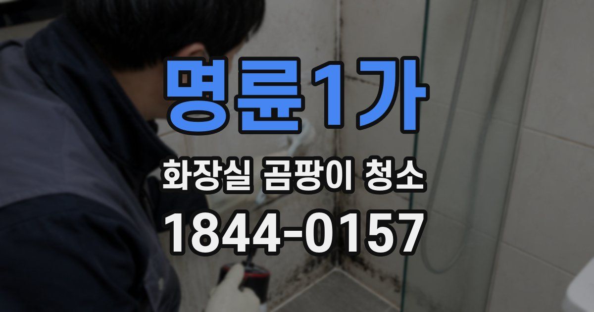 명륜1가 화장실 곰팡이 청소