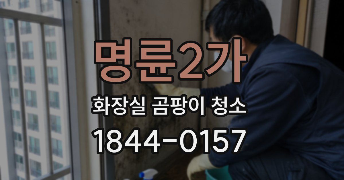 명륜2가 화장실 곰팡이 청소