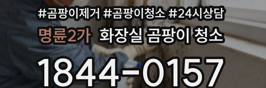 명륜2가 화장실 곰팡이 청소