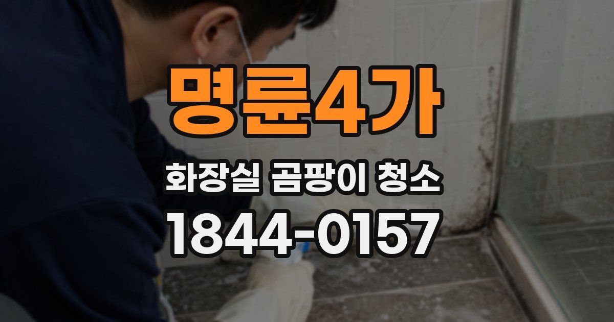 명륜4가 화장실 곰팡이 청소