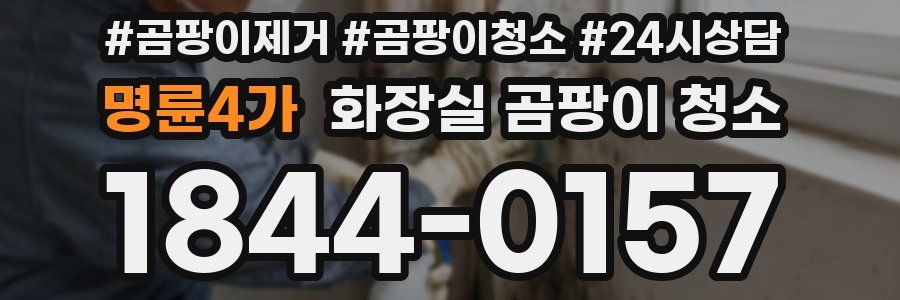 명륜4가 화장실 곰팡이 청소