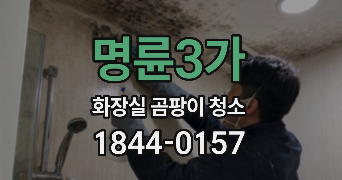 명륜3가 화장실 곰팡이 청소
