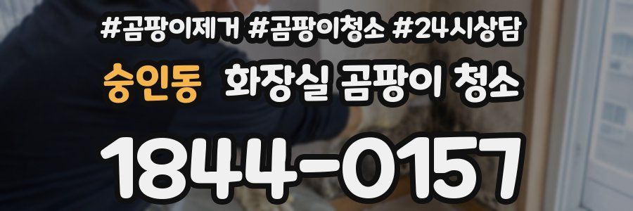 숭인동 화장실 곰팡이 청소