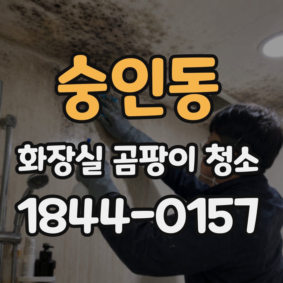 숭인동 화장실 곰팡이 청소