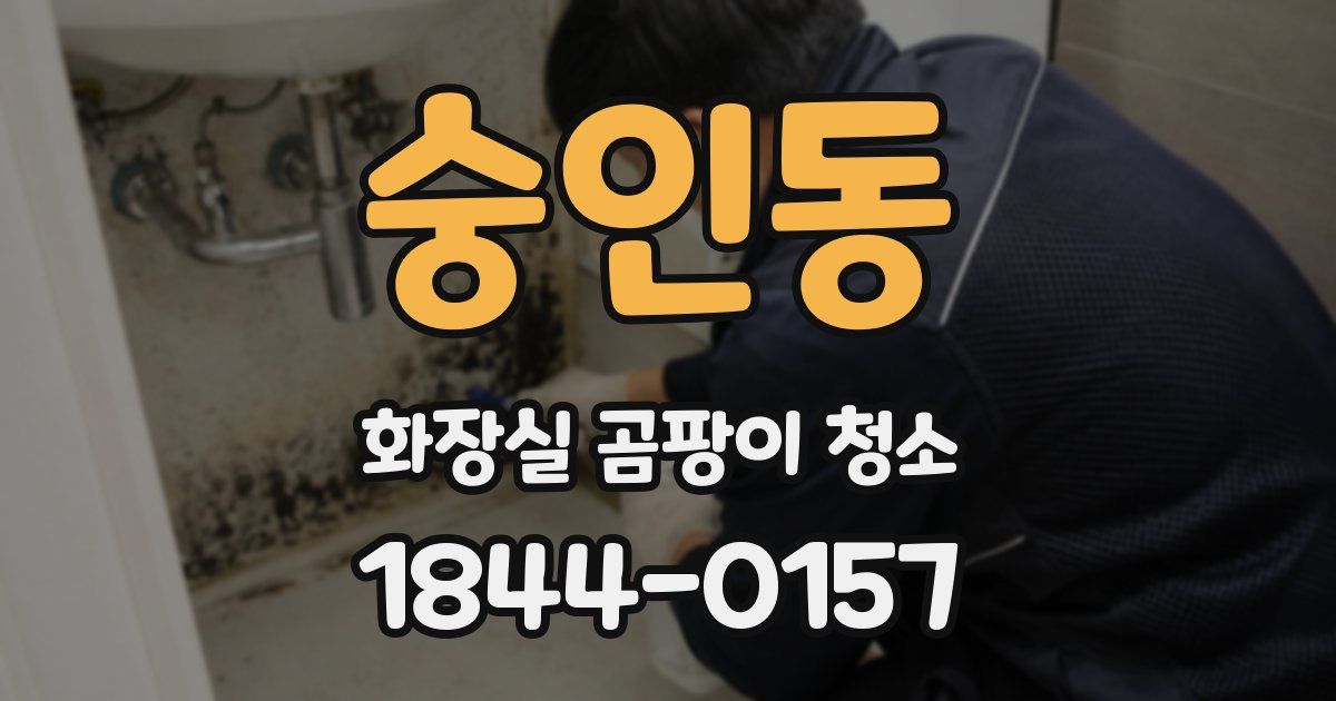숭인동 화장실 곰팡이 청소