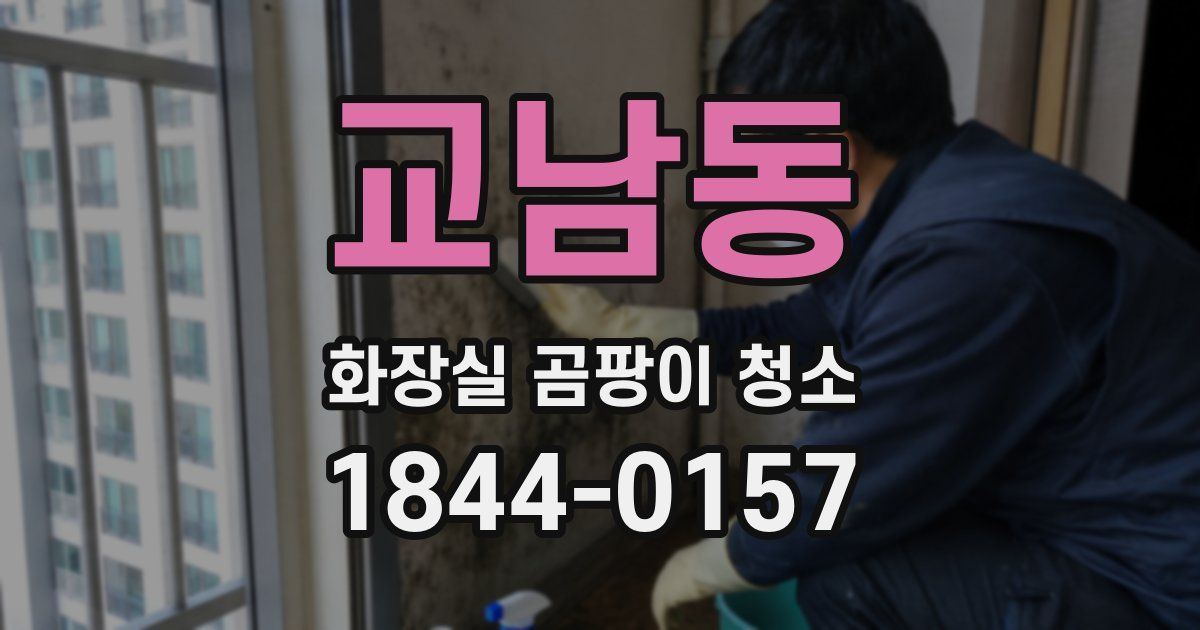 교남동 화장실 곰팡이 청소
