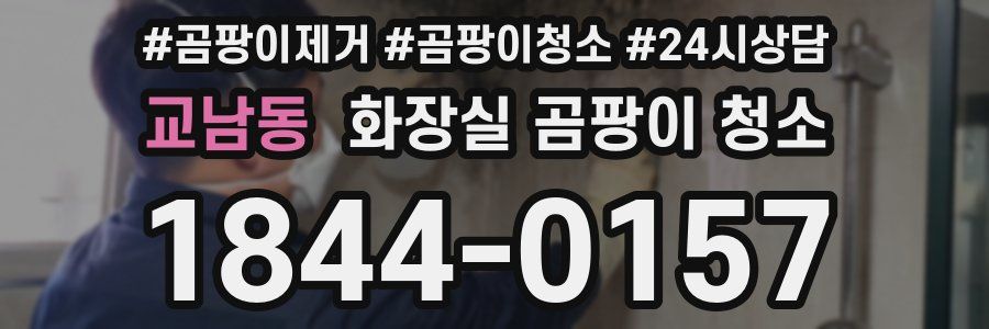 교남동 화장실 곰팡이 청소