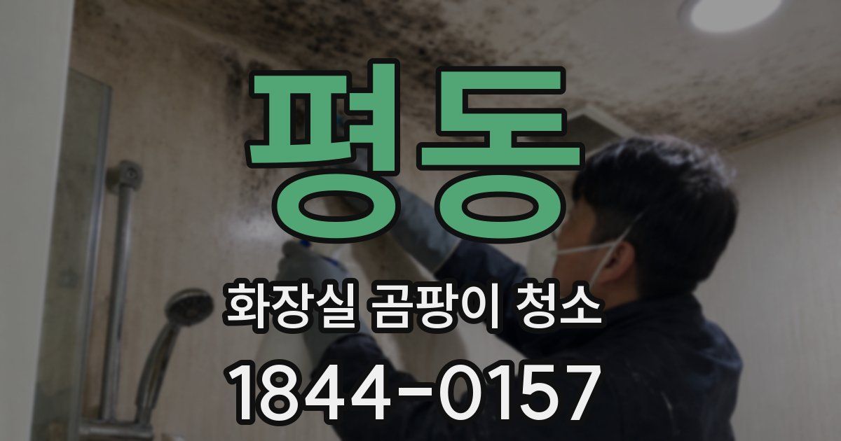 평동 화장실 곰팡이 청소