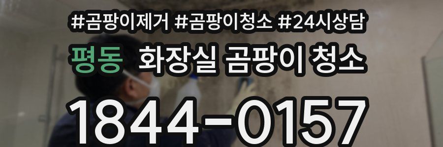평동 화장실 곰팡이 청소