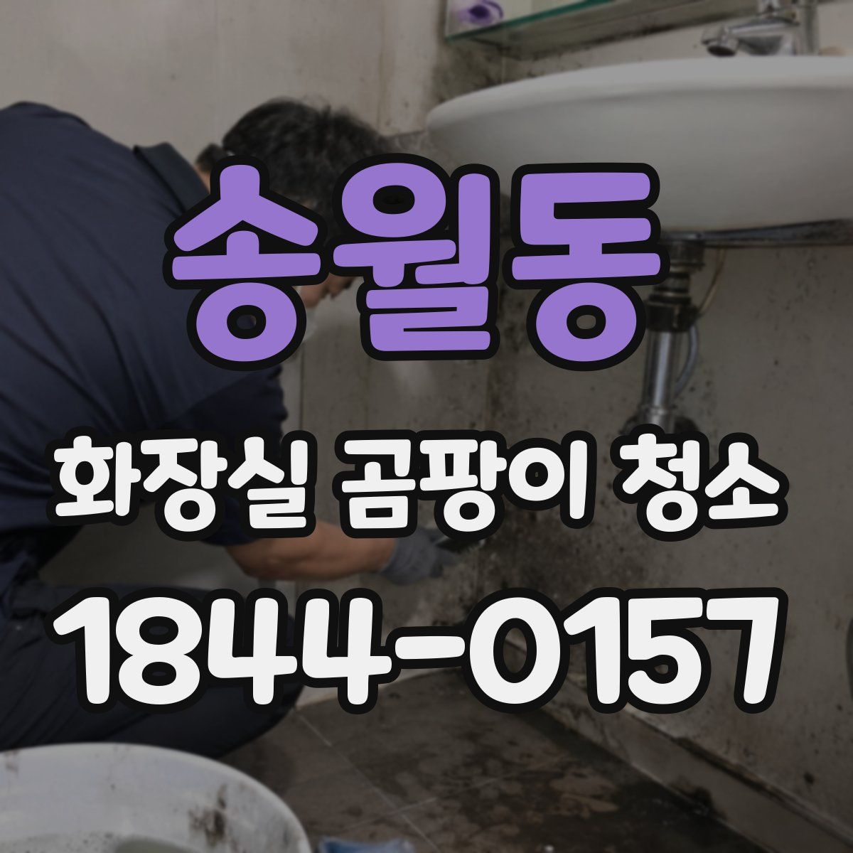 송월동 화장실 곰팡이 청소