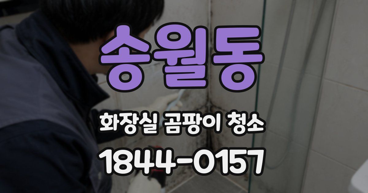 송월동 화장실 곰팡이 청소