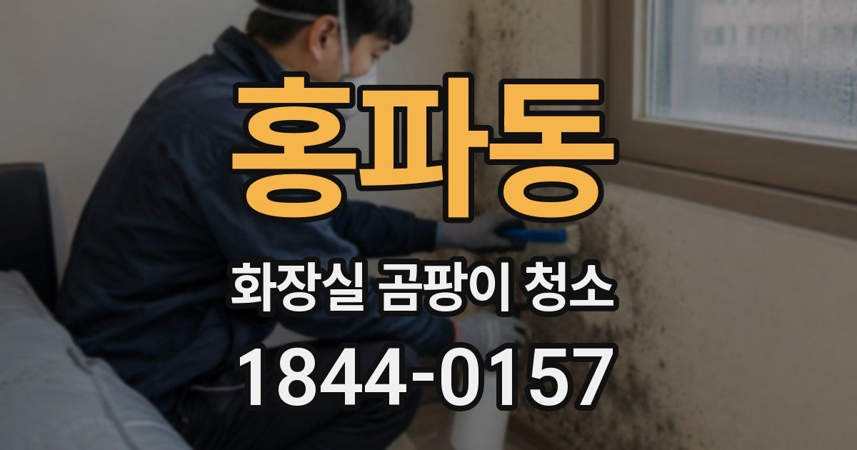 홍파동 화장실 곰팡이 청소