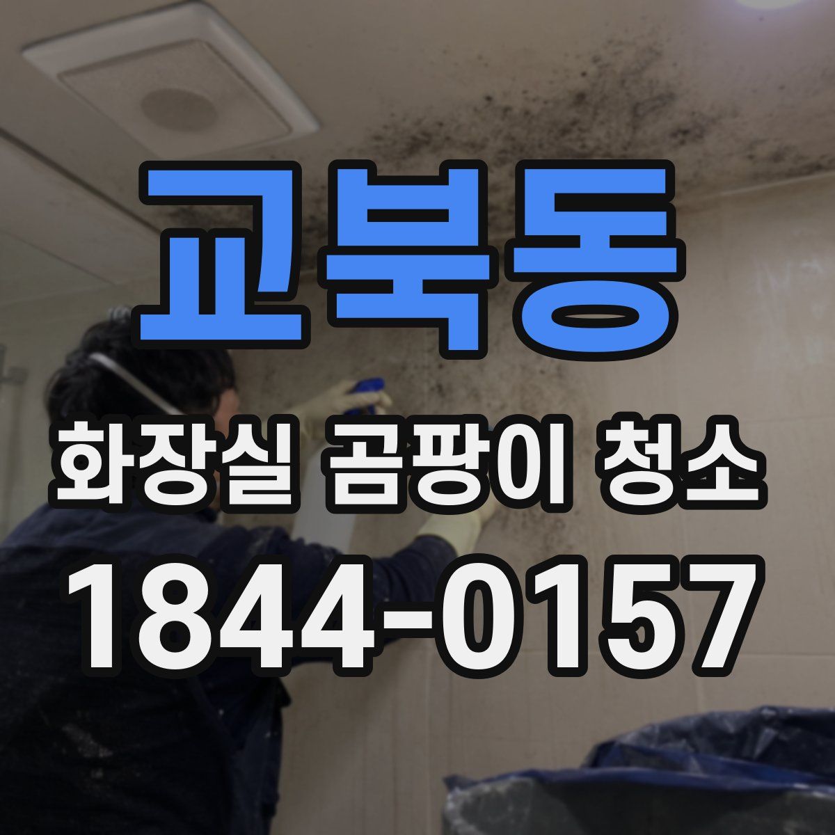 교북동 화장실 곰팡이 청소
