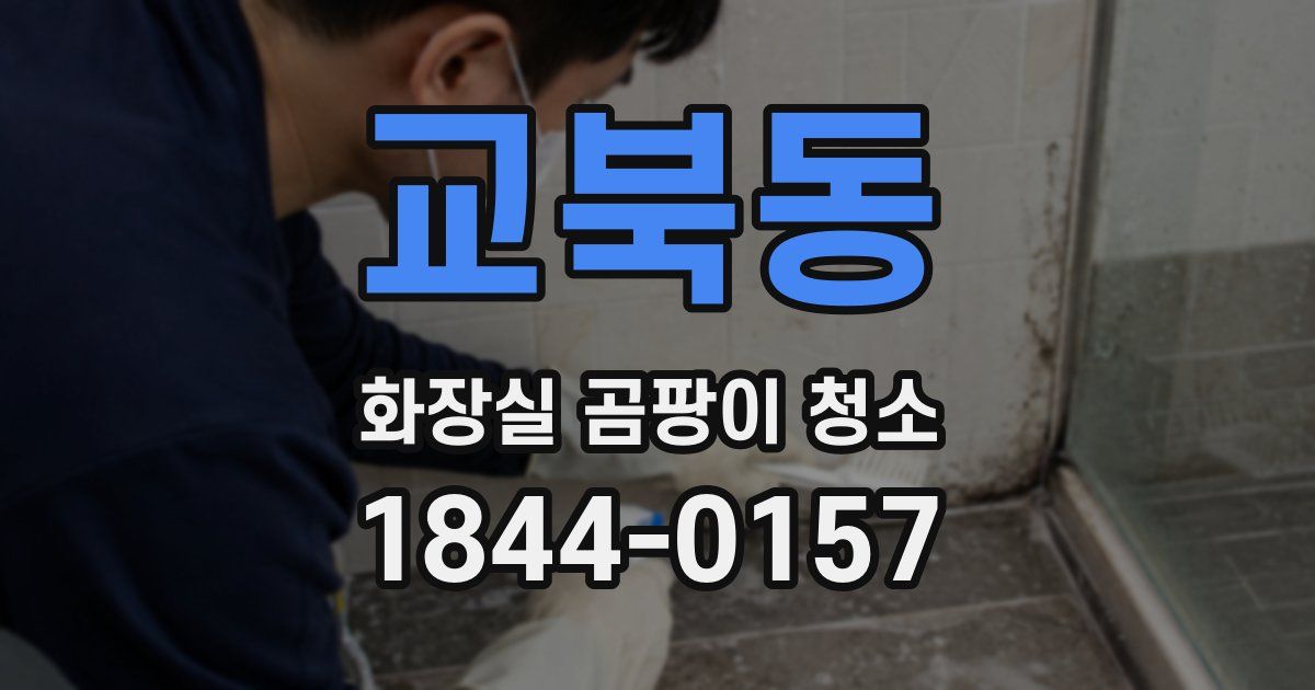 교북동 화장실 곰팡이 청소