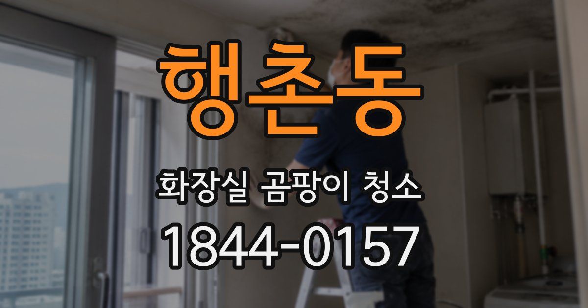 행촌동 화장실 곰팡이 청소