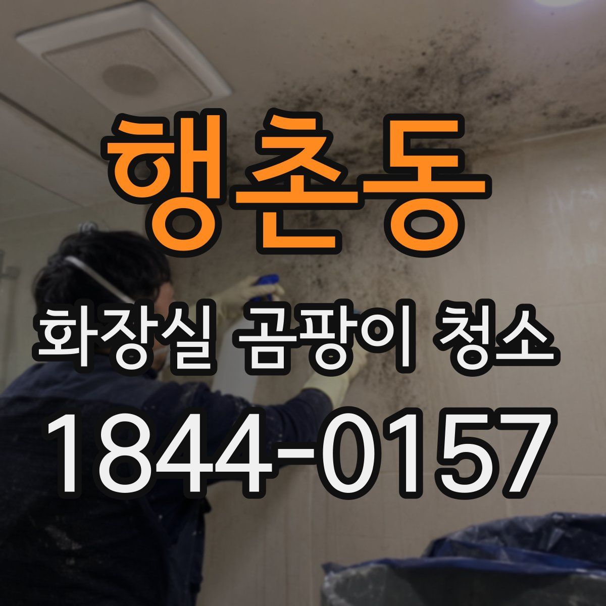 행촌동 화장실 곰팡이 청소