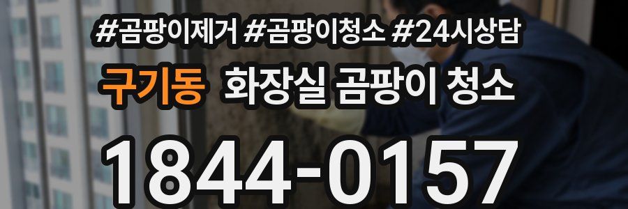 구기동 화장실 곰팡이 청소