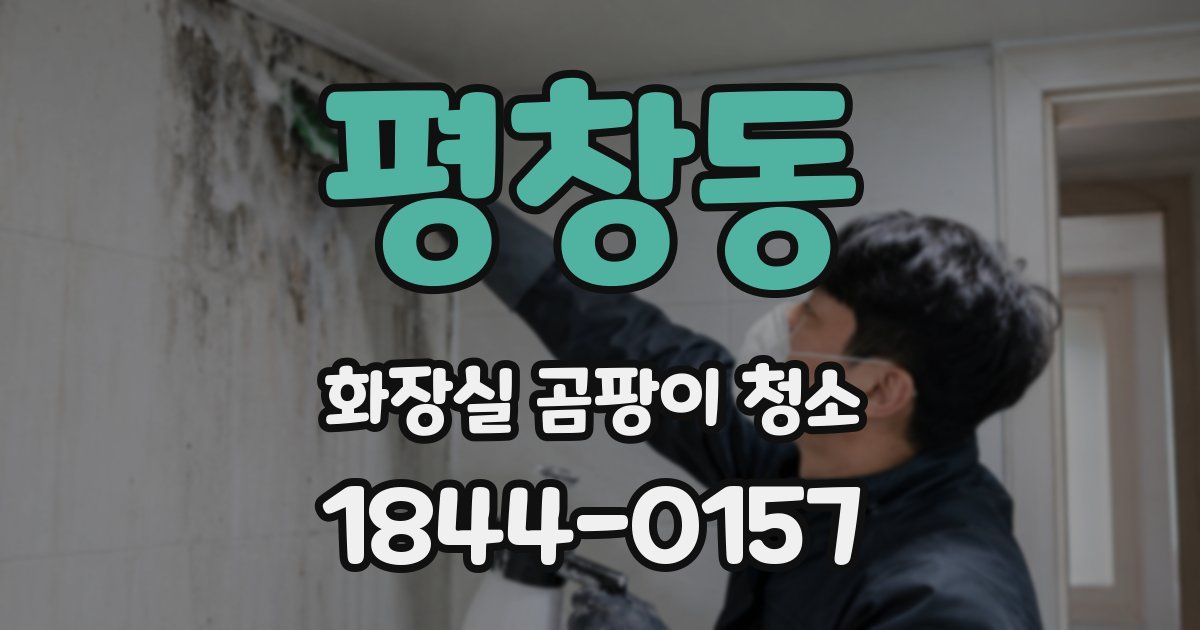 평창동 화장실 곰팡이 청소