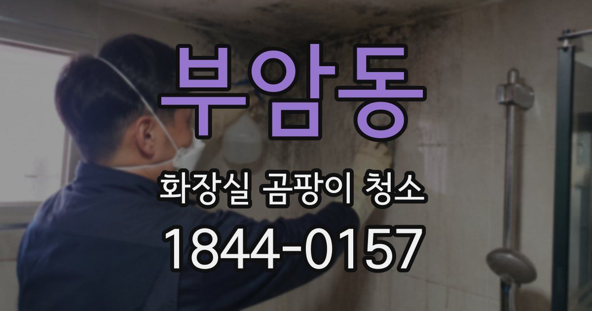 부암동 화장실 곰팡이 청소