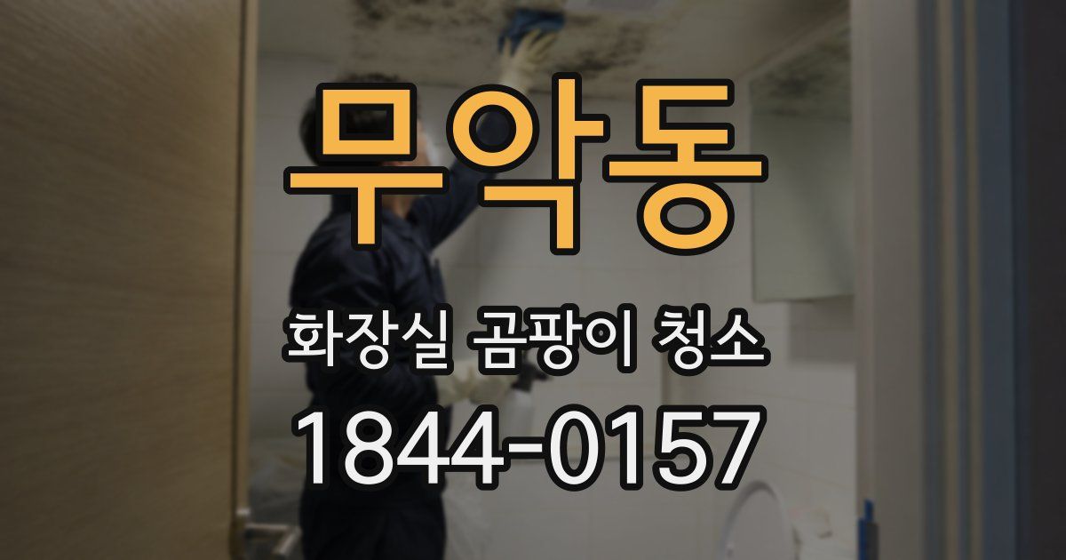 무악동 화장실 곰팡이 청소