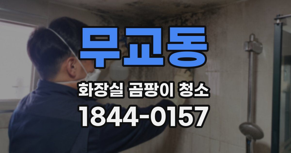 무교동 화장실 곰팡이 청소