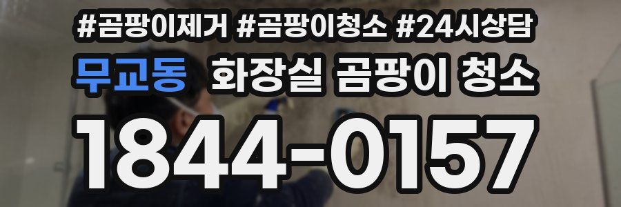 무교동 화장실 곰팡이 청소