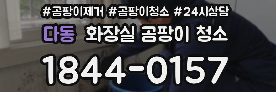 다동 화장실 곰팡이 청소