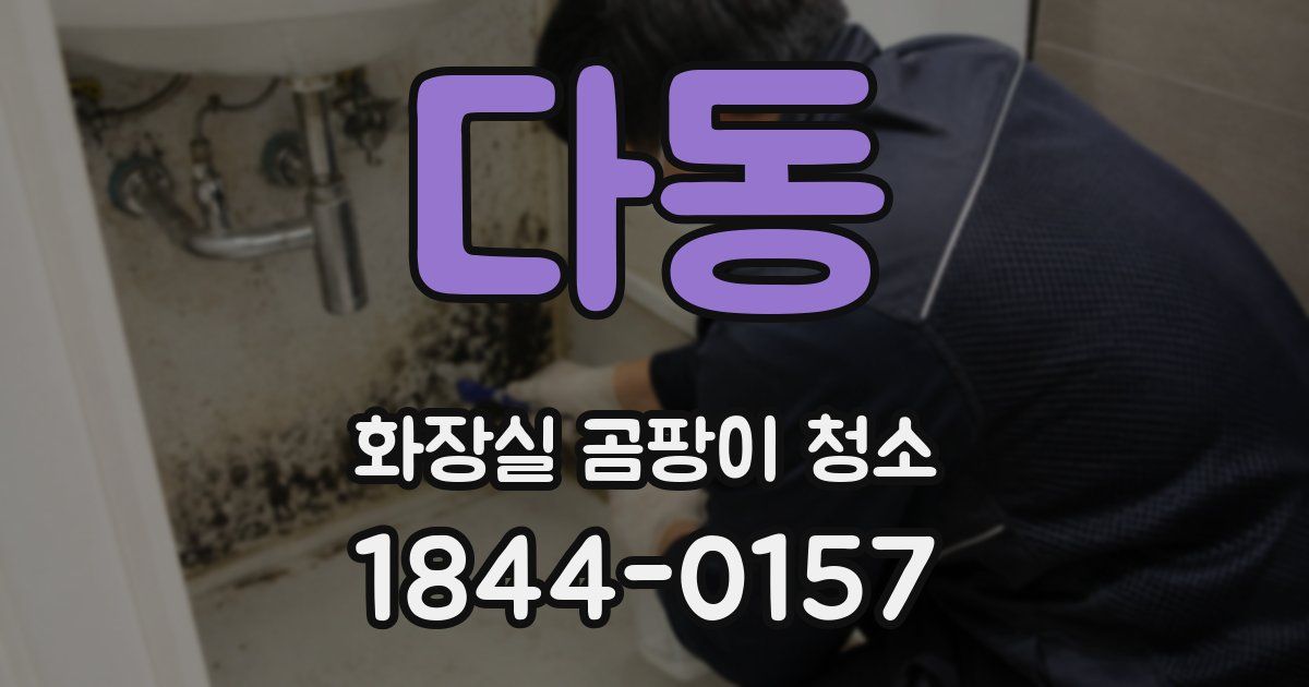 다동 화장실 곰팡이 청소