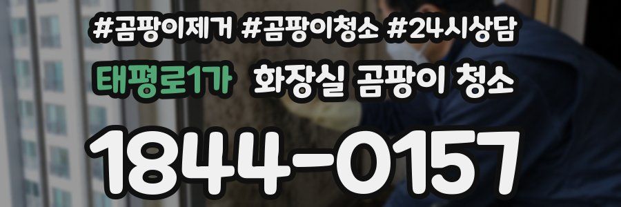 태평로1가 화장실 곰팡이 청소