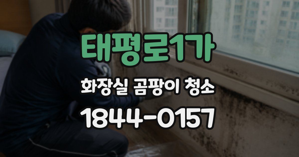 태평로1가 화장실 곰팡이 청소