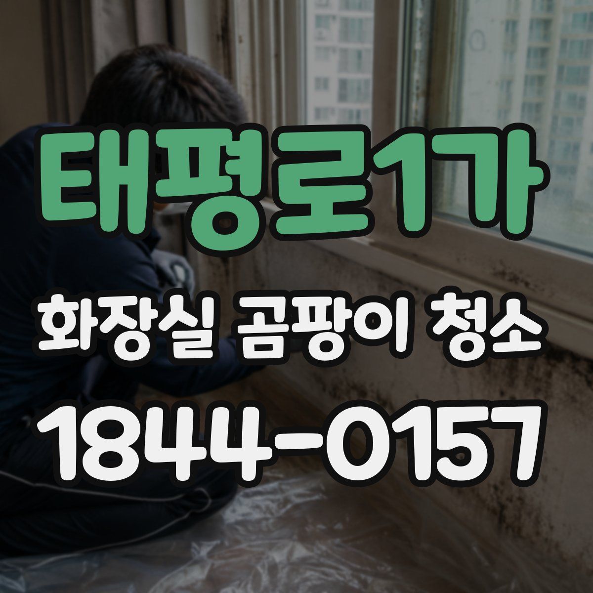 태평로1가 화장실 곰팡이 청소