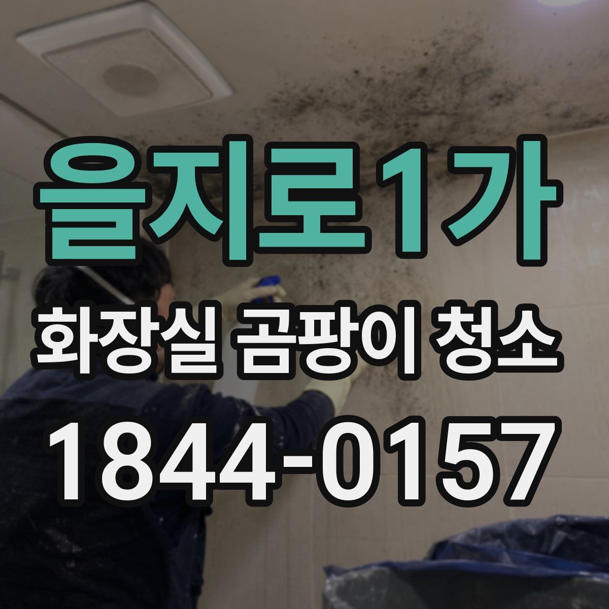 을지로1가 화장실 곰팡이 청소