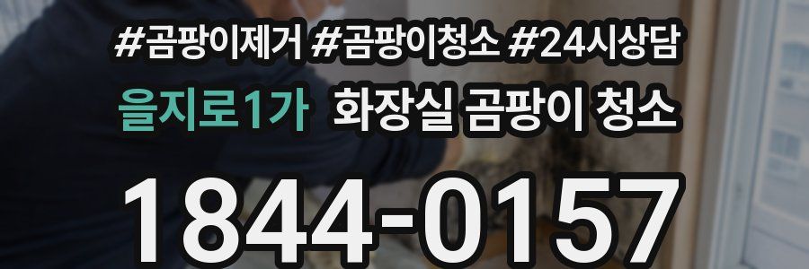 을지로1가 화장실 곰팡이 청소